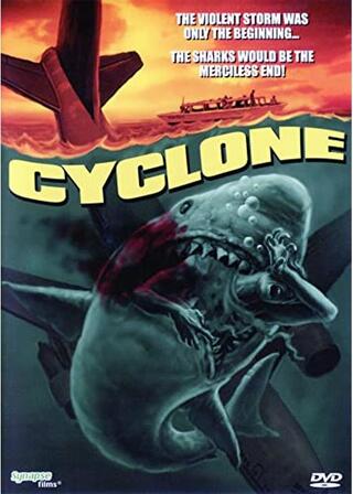 大竜巻/サメの海へ突っ込んだ旅客機のポスター