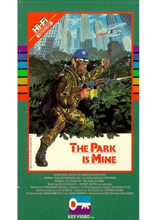 ニューヨーク・コマンドー/セントラルパーク市街戦のポスター