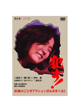 犯す！のポスター
