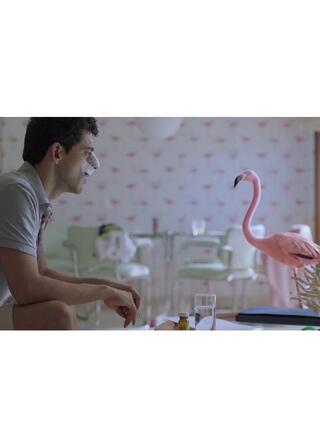 タイムシェアのポスター