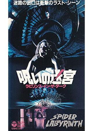 呪いの迷宮 ラビリンス・イン・ザ・ダークのポスター