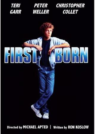 家族の絆のポスター