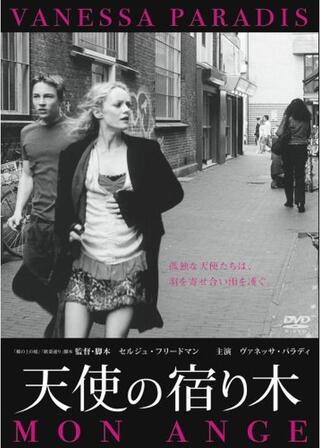 天使の宿り木のポスター