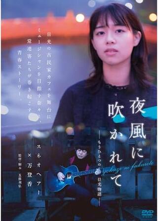 夜風に吹かれて もうひとつの日光物語のポスター