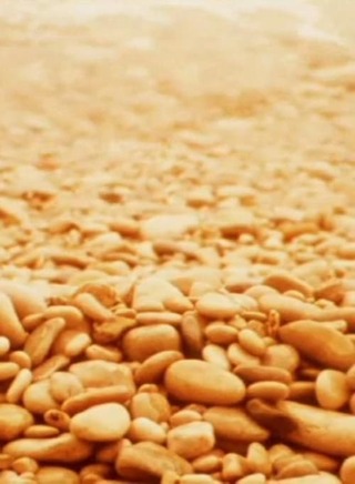 ジェロームへのノートのポスター