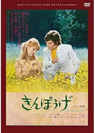 きんぽうげのポスター