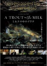 A TROUT in the MILK ミルクの中のイワナのポスター