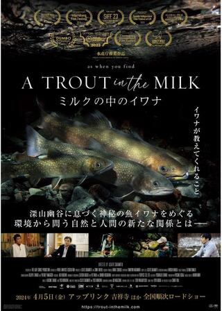 A TROUT in the MILK ミルクの中のイワナのポスター