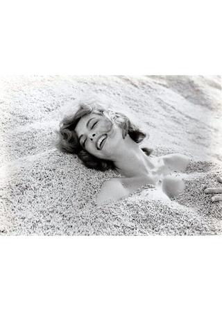 真昼の欲情のポスター