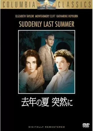 去年の夏 突然にのポスター