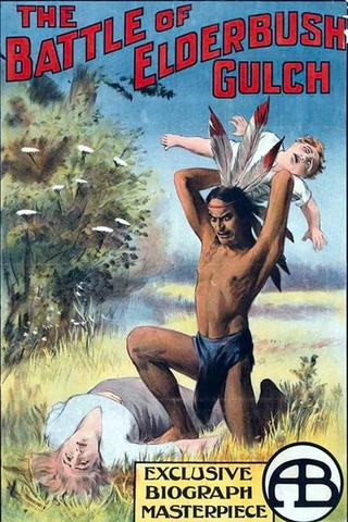 エルダーブッシュ峡谷の戦いのポスター