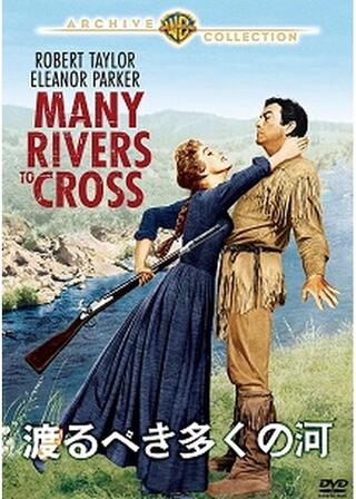 渡るべき多くの河のポスター