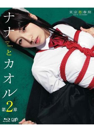 ナナとカオル 第2章のポスター