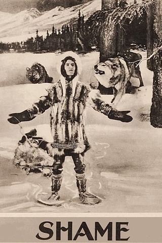シェイム／告発の街のポスター