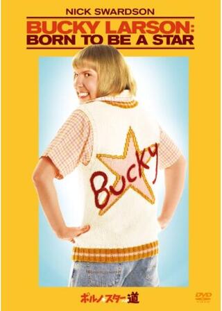 ポルノ☆スターへの道のポスター