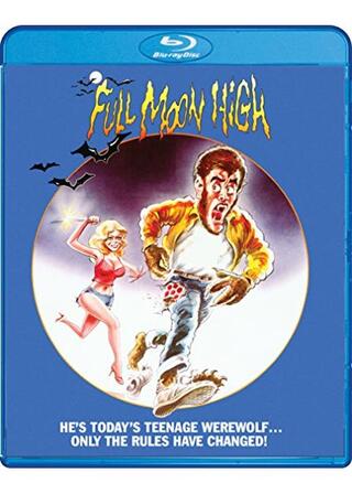 ハイ・スクール・ウルフのポスター