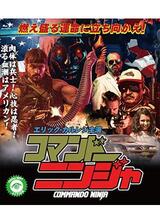 コマンドーニンジャのポスター