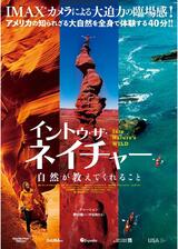 イントゥ・ザ・ネイチャー 自然が教えてくれることのポスター