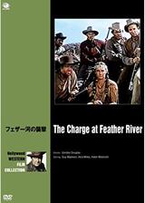 フェザー河の襲撃のポスター
