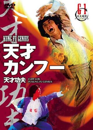 天才カンフーのポスター