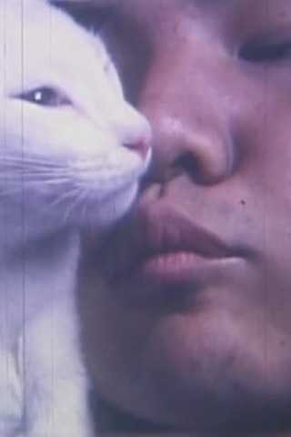 わびしゃびのポスター