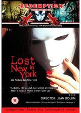 Lost in New York（英題）のポスター