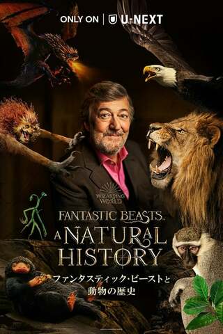 ファンタスティック・ビーストと動物の歴史のポスター
