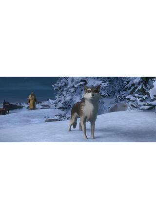 ホワイト・ファング ～アラスカの白い牙～のポスター