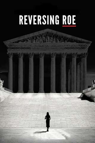 彼女の権利、彼らの決断のポスター