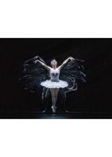 英国ロイヤル・オペラ・ハウス シネマシーズン 2023/24 ロイヤル・バレエ 「白鳥の湖」のポスター