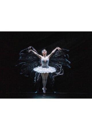 英国ロイヤル・オペラ・ハウス シネマシーズン 2023/24 ロイヤル・バレエ 「白鳥の湖」のポスター