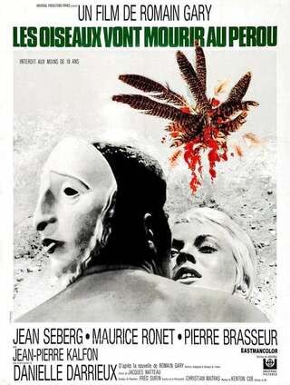 ペルーの鳥のポスター