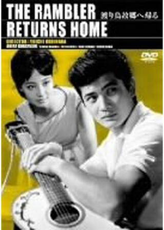 渡り鳥故郷へ帰るのポスター