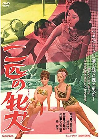 二匹の牝犬のポスター