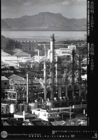 水俣病・その30年のポスター