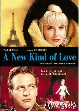 パリが恋するときのポスター