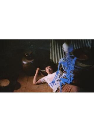 殺人蝶を追う女のポスター