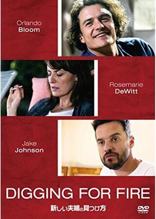 新しい夫婦の見つけ方のポスター