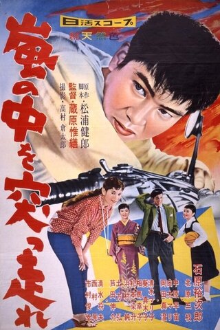 嵐の中を突っ走れのポスター