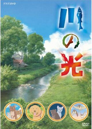 川の光のポスター