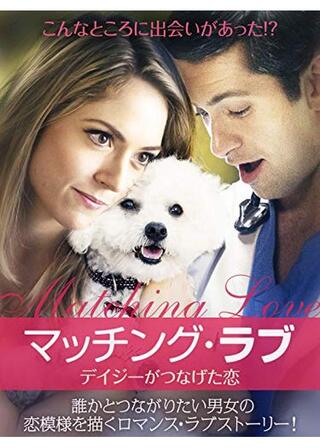 マッチング・ラブ デイジーがつなげた恋のポスター