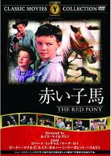 赤い子馬のポスター