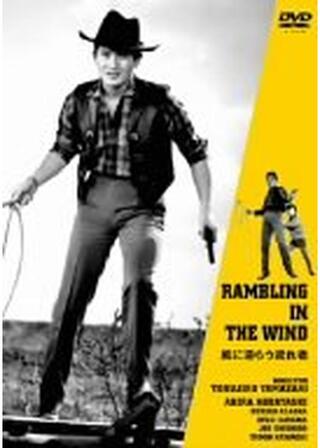 風に逆らう流れ者のポスター