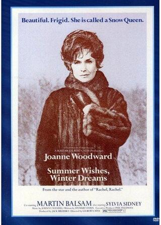 Summer Wishes, Winter Dreams（原題）のポスター