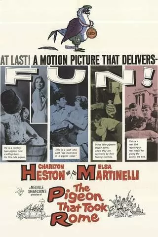 ローマを占領した鳩のポスター