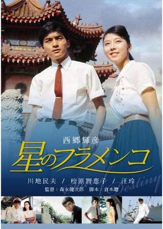 遙かなる慕情 星のフラメンコのポスター