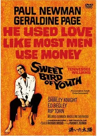 渇いた太陽のポスター