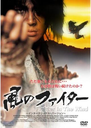 風のファイターのポスター