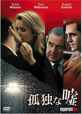 孤独な嘘のポスター