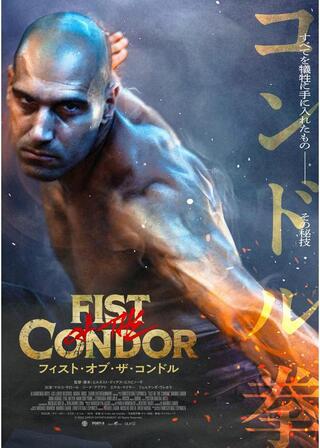 フィスト・オブ・ザ・コンドルのポスター